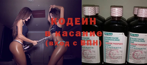 молекула духа Чита