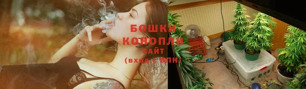 каннабис Магас